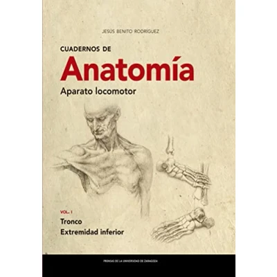 Imagen de Cuadernos De Anatomía. Aparato Locomotor