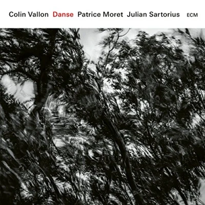 Imagen de Danse (edición Vinilo)