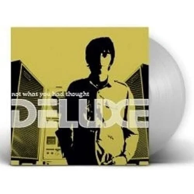 Imagen de Not what you had thought (20 aniversario) [Vinilo]