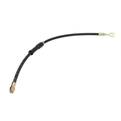 Imagen de Tubo flexible de frenos ABE C81248ABE