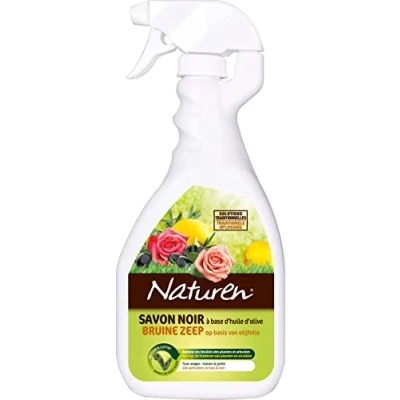 Imagen de EVERGREEN NATUREN Savon Noir 750ML NSAVPAL