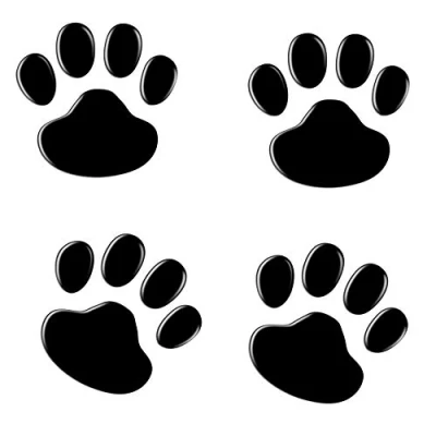 Imagen de 4 calcomanías cromadas 3D negras con huella de perro para coche, emblema decorativo (negro)