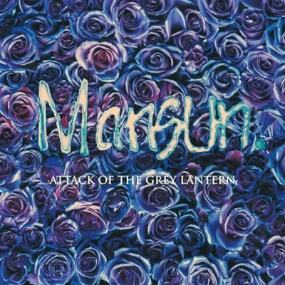 Imagen de Attack Of The Grey Lantern [Vinilo]