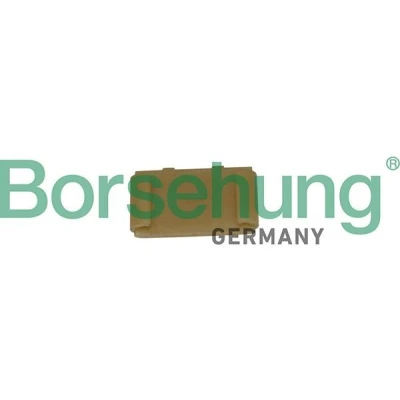 Imagen de Borsehung B1G043 Carril de deslizamiento, cadena distribución MERCEDES BENZ: Clase C Coupé, T modell, SLK