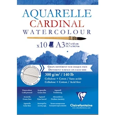 Imagen de Clairefontaine Cardinal acuarela, color Blanco, A3, 10 unidades) _ P, papel, Piece/A4