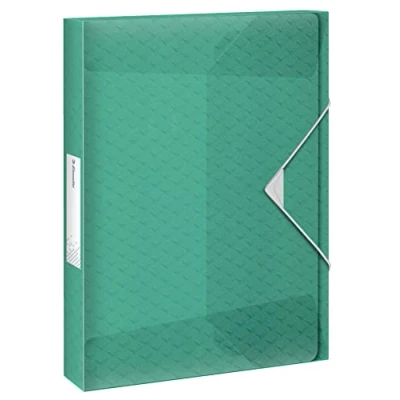 Imagen de Leitz Esselte Carpeta Organizadora Tamaño A4, Hasta 200 Hojas, Lomo de 25mm, Translúcida para Documentos, Casa/Oficina, Patrón en Relieve, Gama Colour&#039;Breeze, Verde, 626260