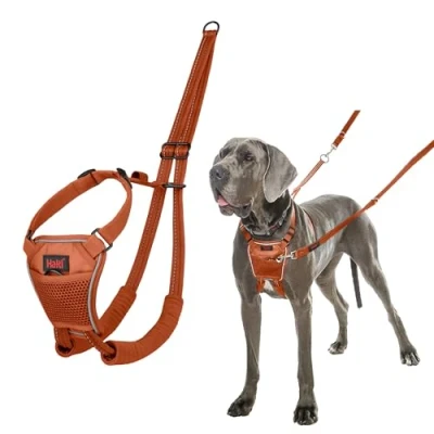 Imagen de Arnés anti tirones HALTI para evitar que tu perro tire de la correa, Ajustable, Ligero y Fácil Usar. Reflexiva Adiestramiento canino perros grandes (Talla L, Naranja Quemada)