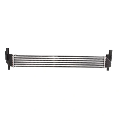 Imagen de THERMOTEC DAA005TT Intercooler 640 82 64 SEAT: Ibiza 4 Sportcoupe, 4, AUDI: A1 Hatchback, Sportback, VOLKSWAGEN: Polo V Hatchback