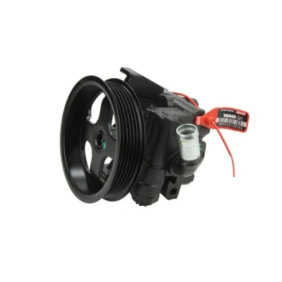 Imagen de LAUBER 55.1162 Bomba de Direccion hidráulico 100bar 6 119mm para dirección izquierda/derecha FORD: Transit Connect Mk1 Furgón, Tourneo