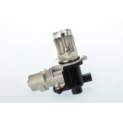 Imagen de WAHLER 710571D Válvula EGR eléctrico con junta VOLKSWAGEN: Transporter 5, Multivan 5 (7HM, Bus, AUDI: A4 B7 Avant, B6 Berlina