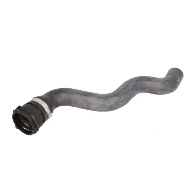 Imagen de SASIC 3406269 Manguitos de Radiador a la derecha arriba FIAT: Grande Punto Hatchback, Evo Hatchback