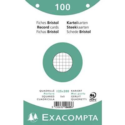 Imagen de Exacompta 10603E 100 tarjetas bristol rejilla 5x5 perforadas en film compatible con impresora inkjet, láser y fotocopiadora formato 125 x 200 mm color blanco