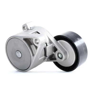Imagen de INA 534 0101 20 Brazo tensor, correa trapecial poli V FIAT: Stilo Hatchback, BRAVO 2, 1, ALFA ROMEO: 147, GT norauto, oscaro, mister auto