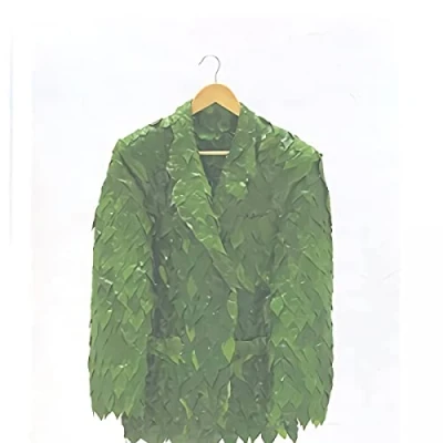 Imagen de Santiago Ayán (SIN COLECCION)