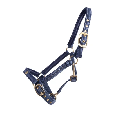 Imagen de QHP Foal Halter Lily