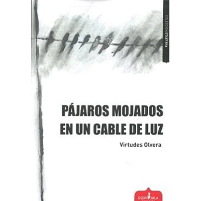 Imagen de PÁJAROS MOJADOS EN UN CABLE DE LUZ: 6 (Etcétera)