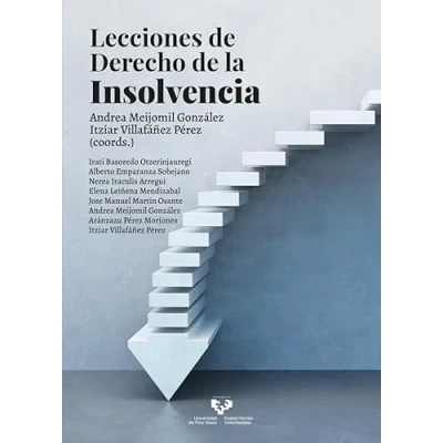 Imagen de Lecciones de Derecho la Insolvencia (Manuales Universitarios)