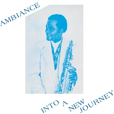 Imagen de Into A New Journey [Vinilo]