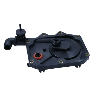 Imagen de MAXGEAR 18 1281 Válvula, ventilación cárter BMW: X5, LAND ROVER: Range Rover 3
