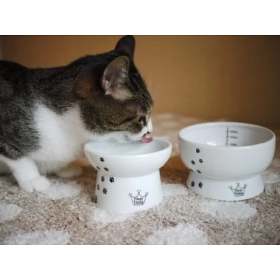 Imagen de Necoichi Juego de Cuencos elevados para Comida y Agua Gatos (Gato)