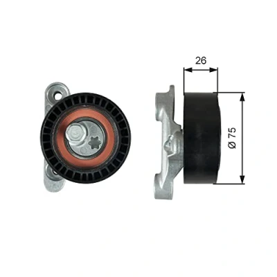 Imagen de GATES T39345 Polea Tensora FleetRunner Micro V Stretch Fit SEAT: Ibiza 4 Sportcoupe, 4, ST, SKODA: Rapid Hatchback