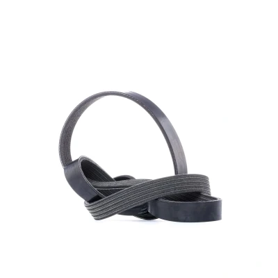 Imagen de DAYCO 5PK1095S Correa trapecial poli V 1095,0 5 VOLVO: XC60 I, V60 S80 II, FORD: S Max Mk1, MONDEO 4, 4 Stufenheck