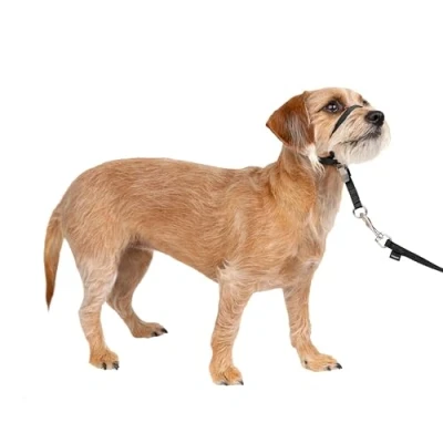 Imagen de PetSafe Easy Walk Headcollar, Correa para Caminar Perro, Ajuste Ajustable, cómodo, pequeño, Negro