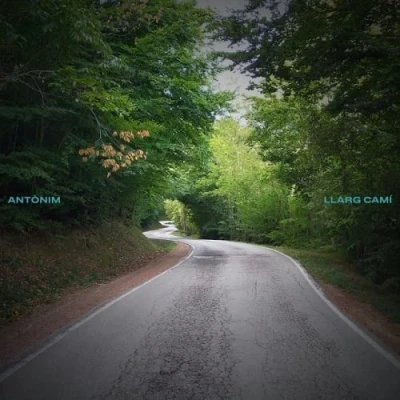 Imagen de Llarg Cami Vinilo Antonim