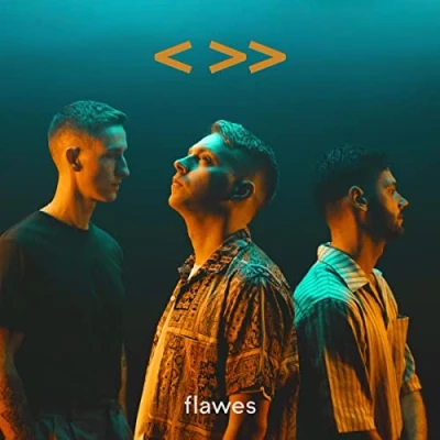 Imagen de One Step Back, Two Steps Forward Flawes