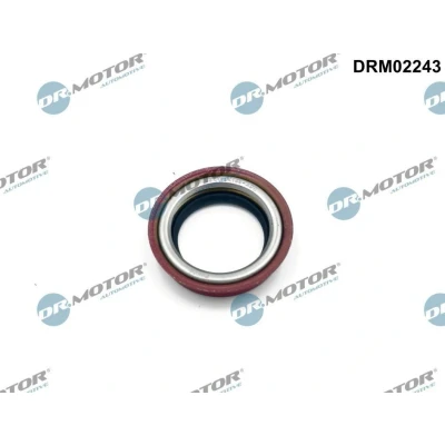 Imagen de DR.MOTOR AUTOMOTIVE DRM02243 Juntas FORD: C Max, Focus 2, Transit Connect Mk1 Furgón, VOLVO: V50, S40 II, C30