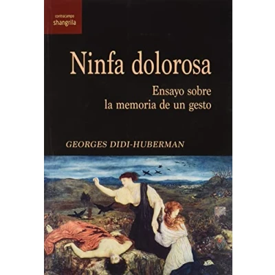 Imagen de Ninfa dolorosa: Ensayo sobre la memoria de un gesto: 39 (Contracampo)
