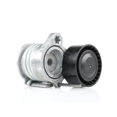 Imagen de FEBI BILSTEIN 32248 Tensor de Correa BMW: 3 Berlina, Coupé, 1 Hatchback