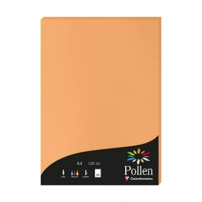Imagen de Clairefontaine 4208C Un étui de 50 feuilles Pollen 21x29,7 cm 120g, Clémentine