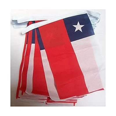 Imagen de AZ FLAG Guirnalda 4 Metros 20 Banderas de Chile 15x10cm Bandera CHILENA 10 x 15 cm BANDERINES