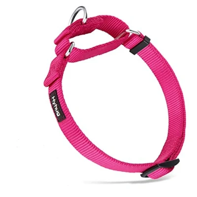 Imagen de Hyhug Collar de Perro y niña Martingale pequeño Cachorro, Duradero, Que no se Puede Escapar: Entrenamiento a pie Uso Diario (Pequeño S, Rosa roja)