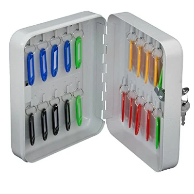 Imagen de Arregui PLL20 Armario de Llaves con Ganchos Fijos 20 Caja Seguridad Acero para Llaveros Incluidos Fácil Instalación en Pared x 16 6 cm Gris