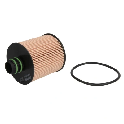 Imagen de PURRO PUR PO1004 Filtro de aceite Cartucho filtrante FIAT: Ducato III Furgón, Camión plataforma / Chasis, BRAVO 2