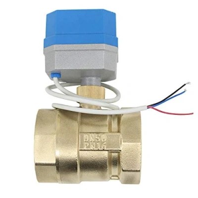 Imagen de 12v 2 tipos de conexion valvula esfera motorizada normalmente cerrado vias electrovalvula 1/2 3/4 1 1/4 pulgada (2 DN50)