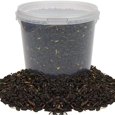Imagen de Semillas de Girasol Negro BusyBeaks Alimento Rico en Aceite para Aves Silvestres Jardines ocupados (5L)