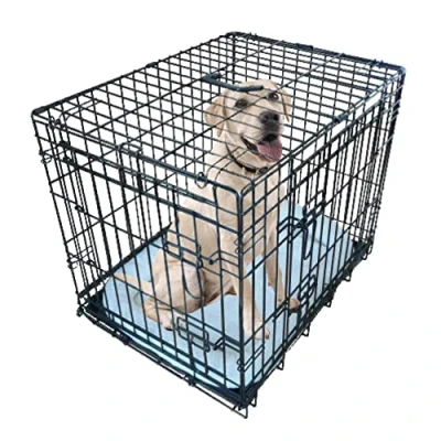 Imagen de Ellie Bo Jaula corral plegable para perros pequeños a grandes, cojín incluido, dos puertas, resistente mordiscos y con bandeja extraíble, tamaño extragrande de 107 cm, color negro