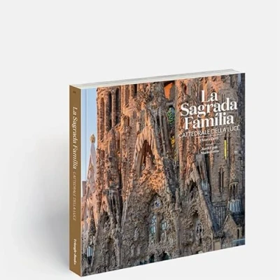 Imagen de Sagrada Família Cattedrale Della Luce (italiano)