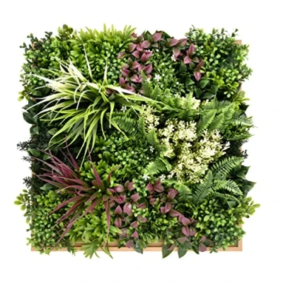 Imagen de BONERVA jardín Vertical Maldivas Planta Artificial para decoración de Pared en Interior y terrazas Pack 1 Pieza 50cm x (con Marco) Diseño estético Decorar hogar