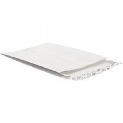 Imagen de Tyvek Envelope 324x229mm White 20mm Gusset Pack of 100 754924