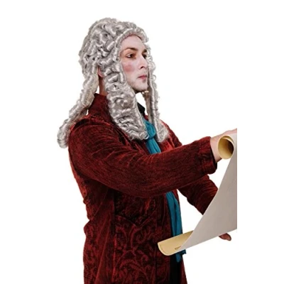 Imagen de WIG ME UP WIG002 K309 Peluca Hombres Carnaval Barroco Renacimiento Noble Juez Principe Rey Compositor Gris