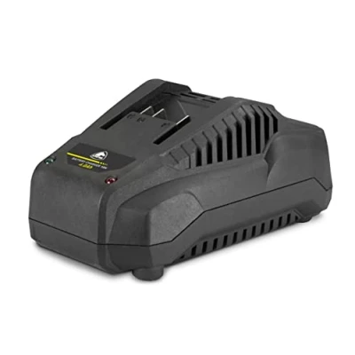 Imagen de Cargador de batería (4Ah, 5Ah) compatible con toda la Gama L20 STAYER