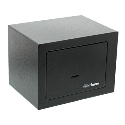 Imagen de Burg Wächter Favor S1 K Caja Fuerte de Empotrar con Doble Cerradura, Negro, 170x230x170 mm