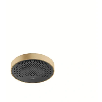 Imagen de Hansgrohe 26228140 Alcachofa, Bronce Cepillado, Cabezal de ducha 250 mm (conexión pared y techo)