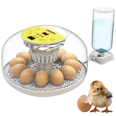 Imagen de Okkobi M12 Incubadora Huevos Gallina Automática Volteo Automático y Control de Humedad 12/24 huevos, Vista 360, fácil usar limpiar Chocadeira Ovos Blanco amarillo