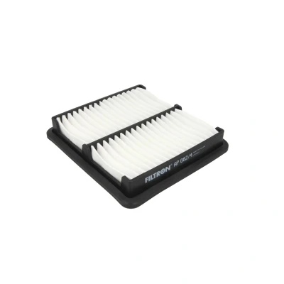 Imagen de FILTRON AP 105/1 Filtro de aire 43 173 260 Cartucho filtrante HONDA: CR V 3