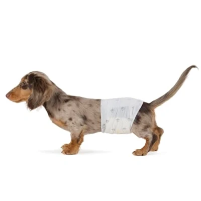 Imagen de Amazon Basics Pañales Desechables para Perros Macho, S, Paquete de 50, Color Blanco